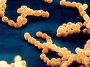 Rare, Deadly Strain Of Strep Bacteria Spreading Across Canada